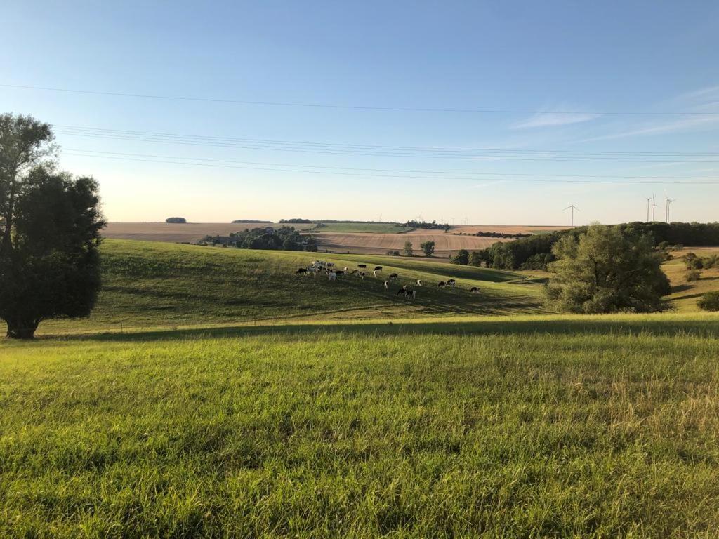 An Der Stadtmauer Buergel Burgel  Esterno foto